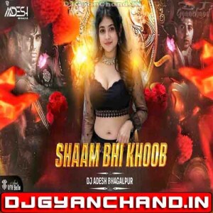 Shaam Bhi Khoob Hai Hindi Love Song (Club Mix) - Dj Aadesh Bhagalpur